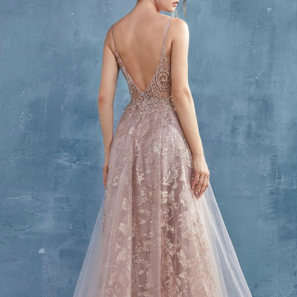 Illusion V-Neck A-Line Shape Prom Dress ALA0882 - Picture 2 of 5